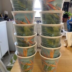 12 plastic cups- tropical print